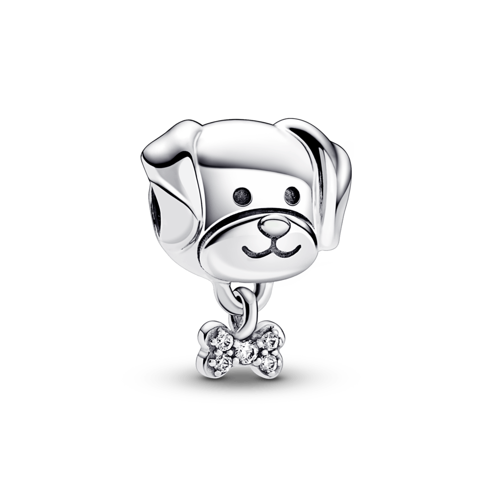 Charm Perro mascota y hueso